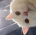 Jedi_1_6's Avatar